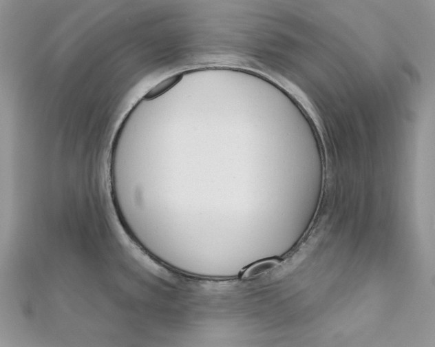 X0000111611389200908281041