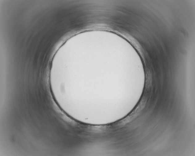 X0000111611390200908281041