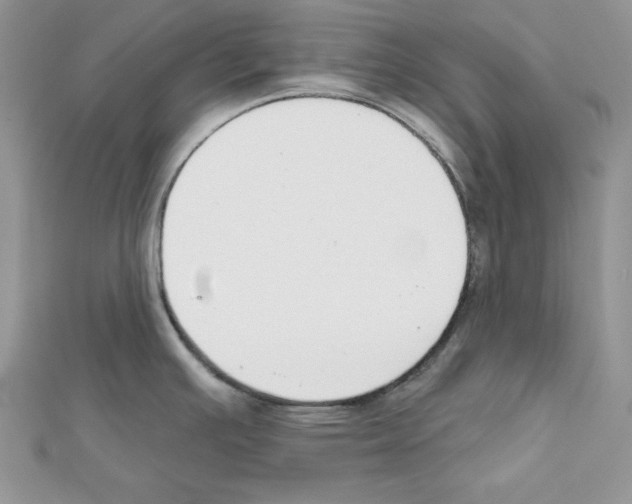 X0000111611391200908281041