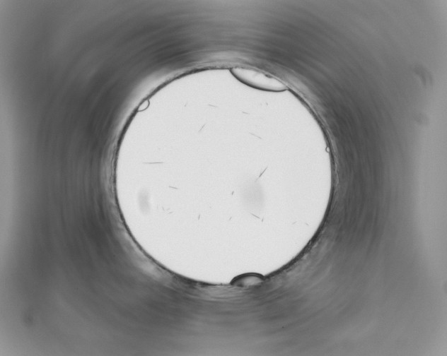 X0000111611392200908281041