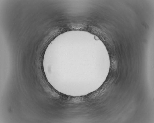 X0000111611393200908281040