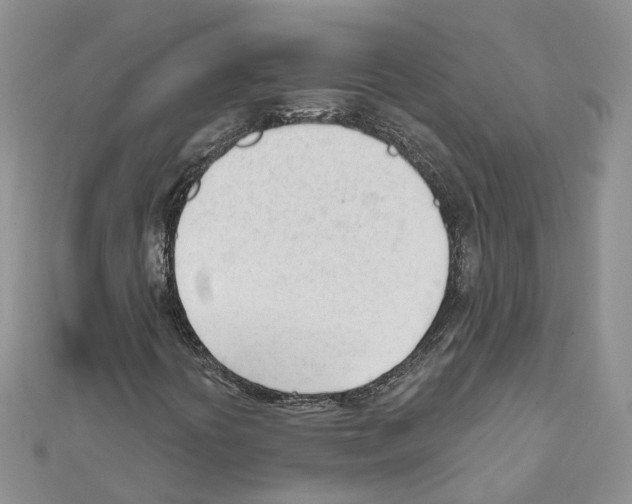 X0000111611394200908281040