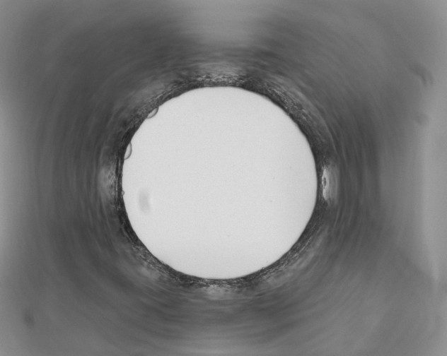 X0000111611395200908281040