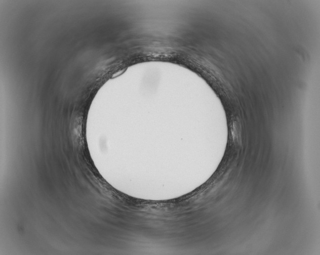 X0000111611396200908281040