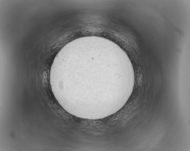 X0000111611397200908281040