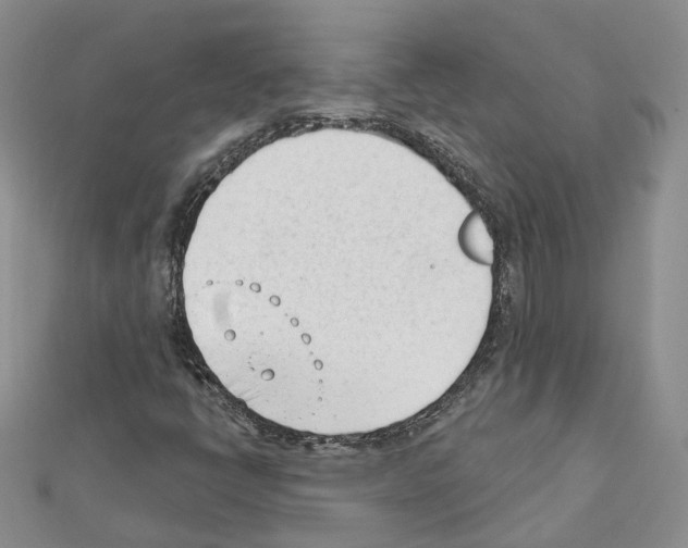 X0000111611398200908281040