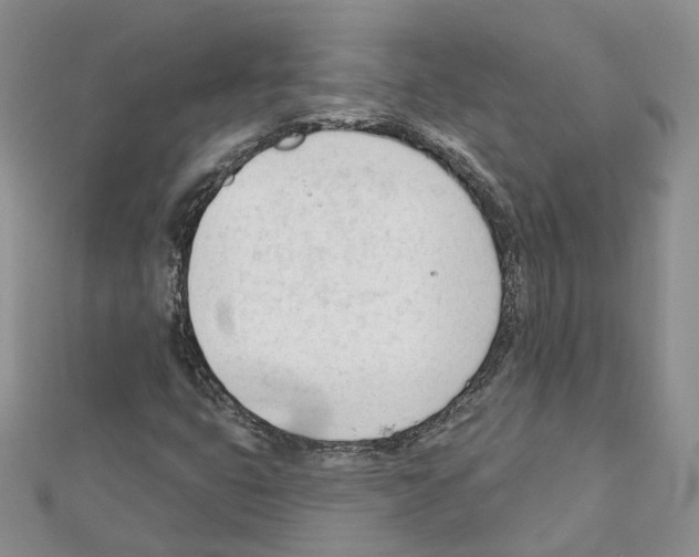 X0000111611399200908281040
