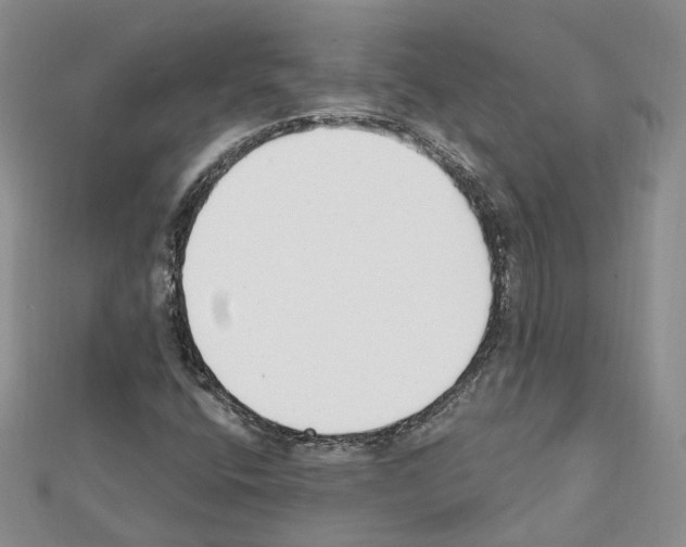 X0000111611400200908281040