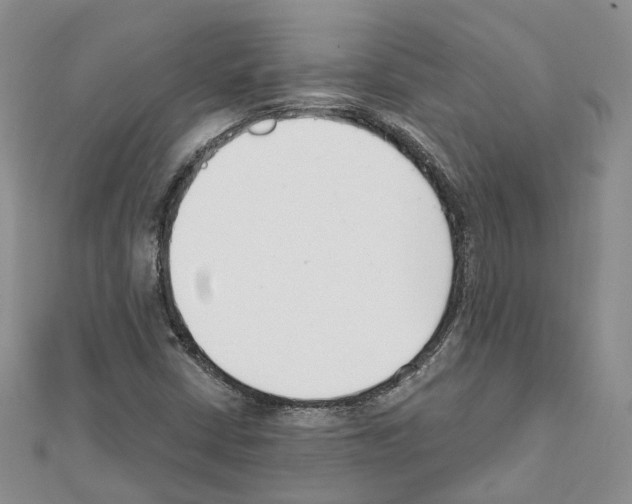 X0000111611402200908281040