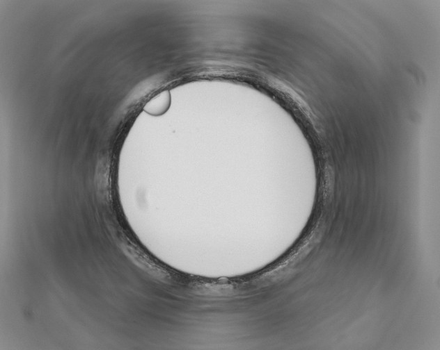 X0000111611403200908281040