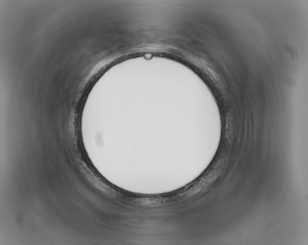 X0000111611404200908281040