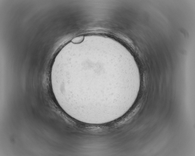 X0000111611405200908281040