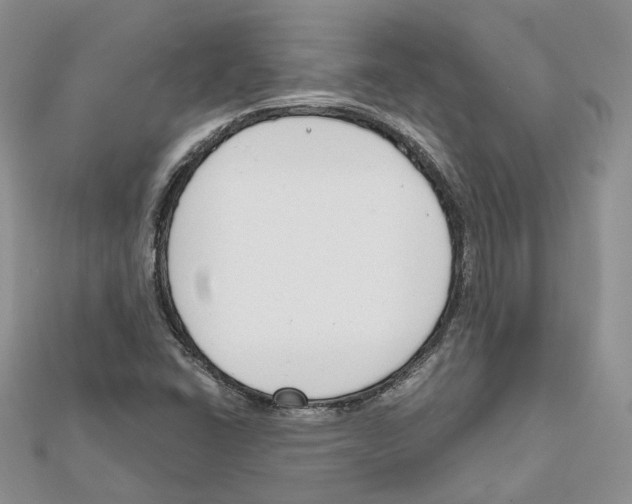 X0000111611406200908281040