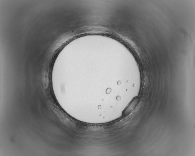 X0000111611407200908281041