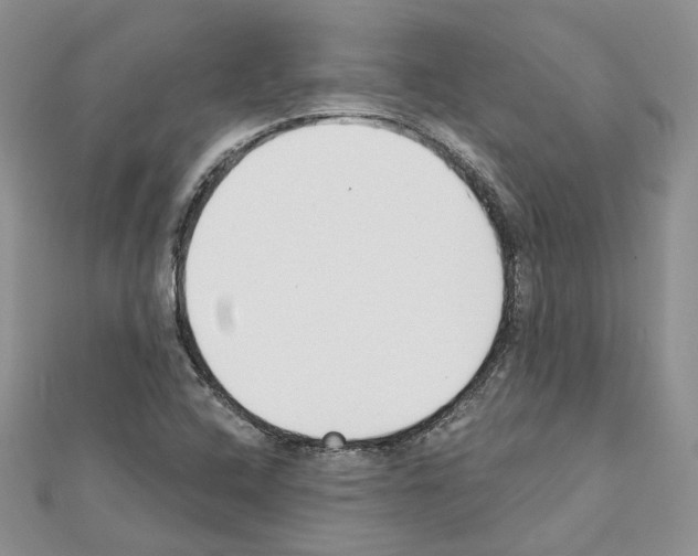 X0000111611408200908281041