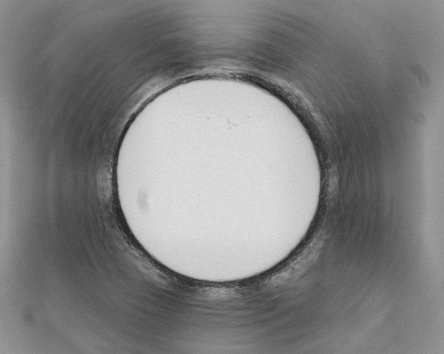 X0000111611409200908281041