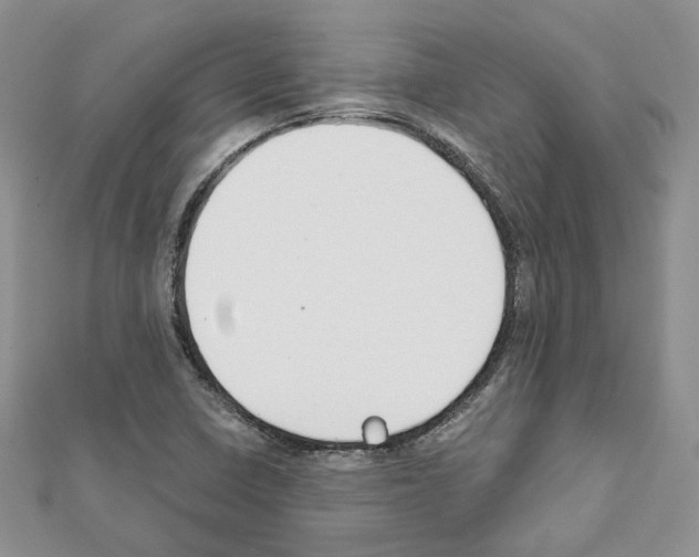 X0000111611410200908281041