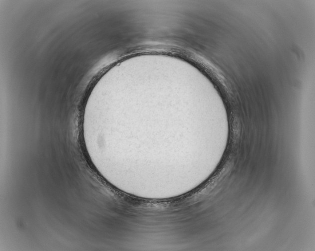 X0000111611411200908281041