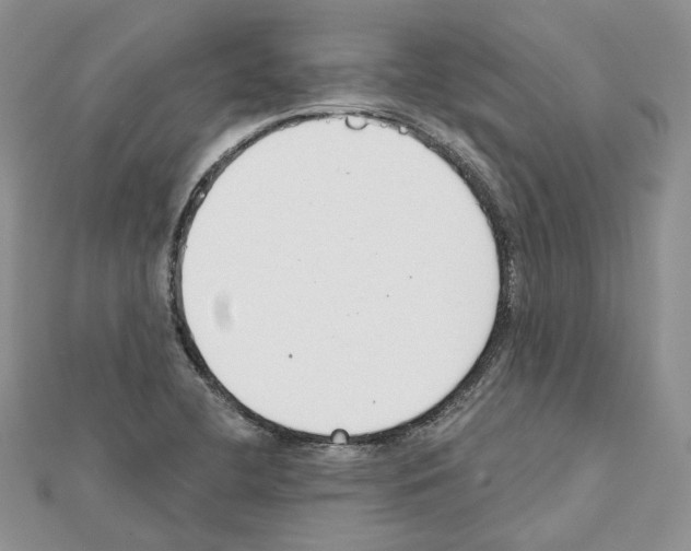 X0000111611412200908281041