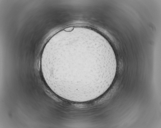 X0000111611413200908281041