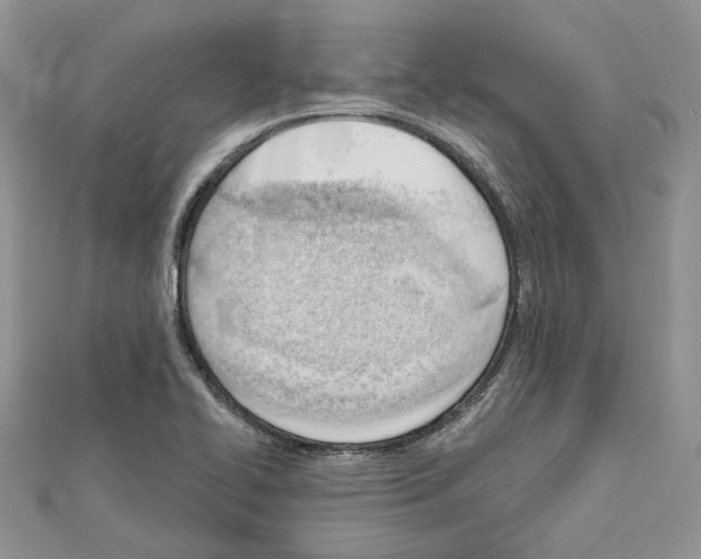 X0000111611414200908281041