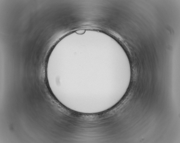 X0000111611415200908281041