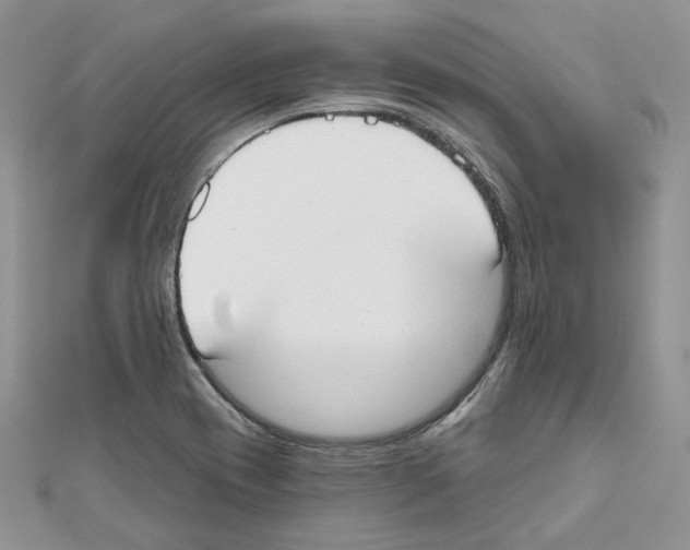 X0000111611417200908281041