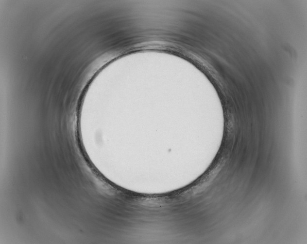 X0000111611418200908281041
