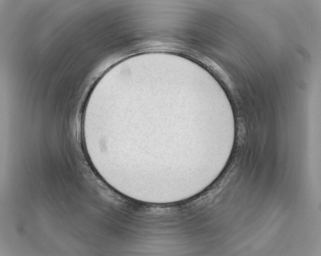 X0000111611419200908281041