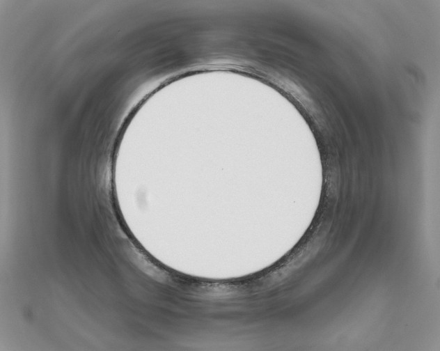 X0000111611420200908281041