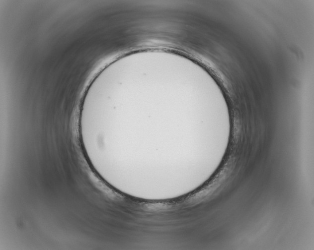 X0000111611421200908281041