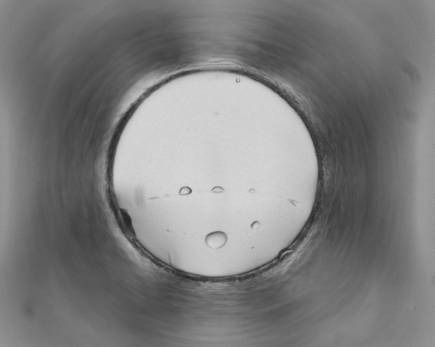 X0000111611422200908281041