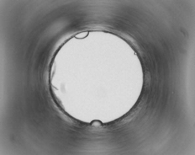 X0000111611424200908281041