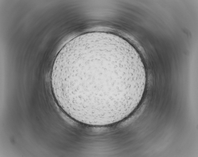 X0000111611425200908281041