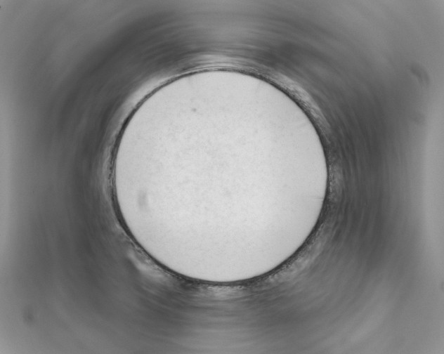 X0000111611427200908281041