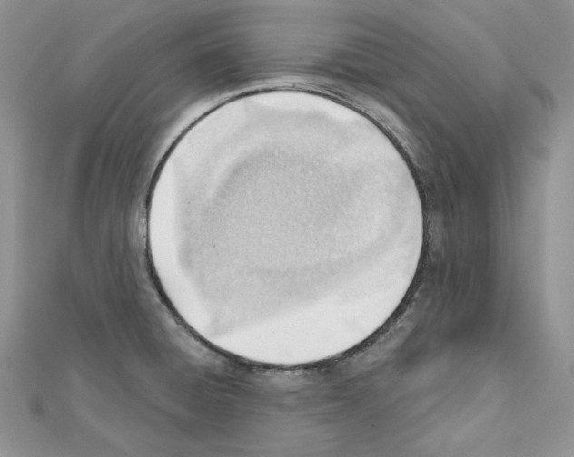 X0000111611428200908281041