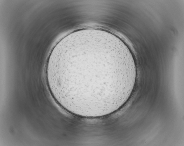 X0000111611429200908281041