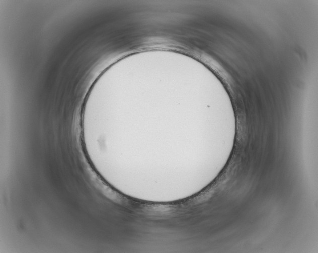 X0000111611431200908281041