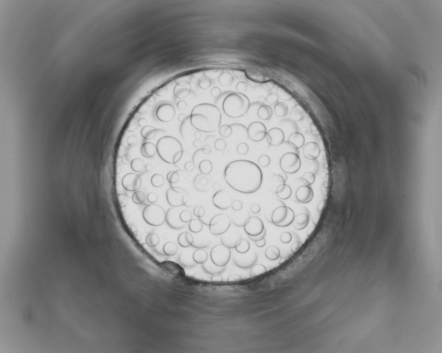 X0000111611432200908281041