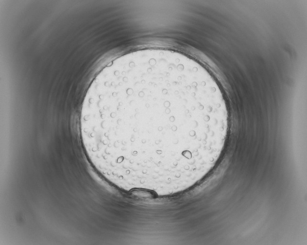X0000111611433200908281041