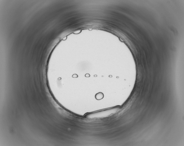 X0000111611434200908281041