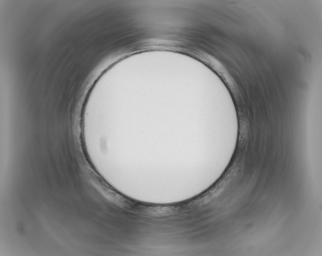 X0000111611435200908281041