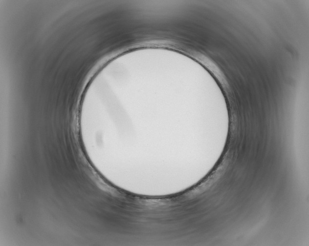 X0000111611436200908281041