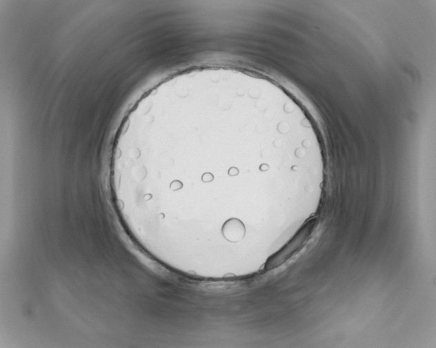 X0000111611437200908281041