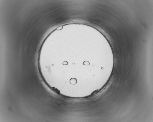 X0000111611438200908281041
