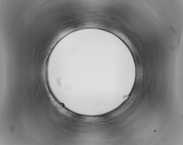 X0000111611439200908281041