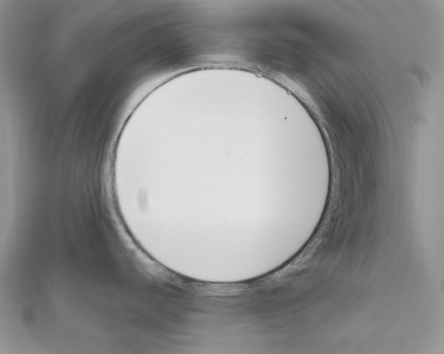 X0000111611440200908281041