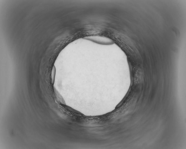 X0000111611441200908281040