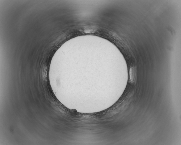 X0000111611443200908281040