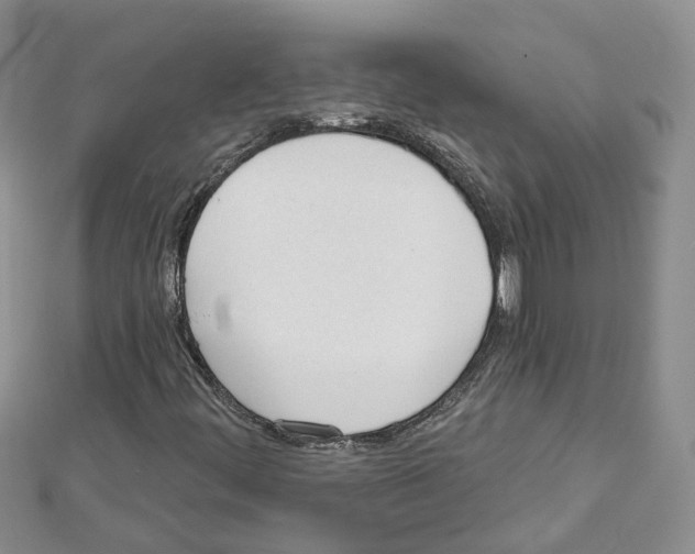 X0000111611444200908281040